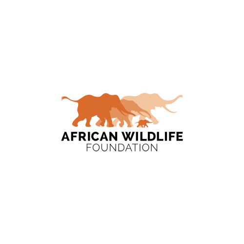 african wildlife fund