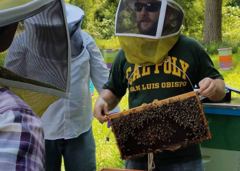 Veterans find new passion, purpose in beekeeping