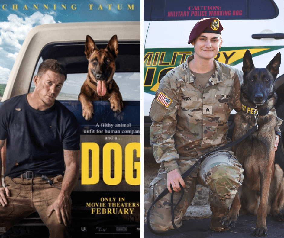 What Channing Tatum's new movie 'Dog' gets right about military working