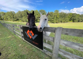 Warriors Heart offers unconventional therapies to heal from war 