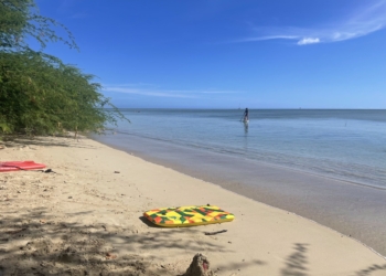 Oahu’s must-see sights for military families 