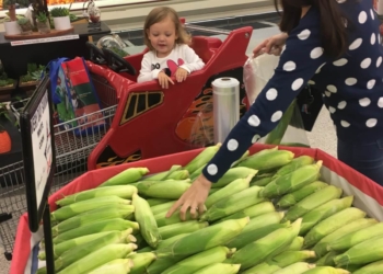 A food insecurity crisis afflicts military families