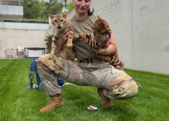 Pet insurance provides ‘stability’ amid military life