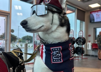 Fort Bragg therapy dog announced as USO Canine Volunteer of the Year