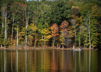 Randleman Lake in North Carolina. Courtesy photo.